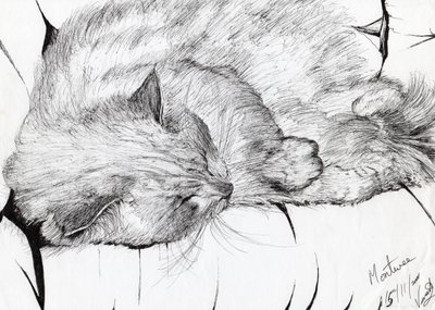 モントウィー、2000、（紙にインク） 作： Vincent Alexander Booth